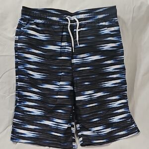 DSG Men's Black and Blue Patterned Board Shorts